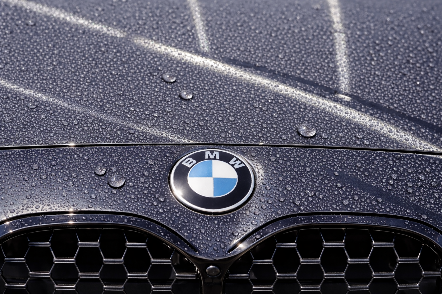 STEK Graphene コーティング 施工詳細画像 - プロフェッショナル施工例